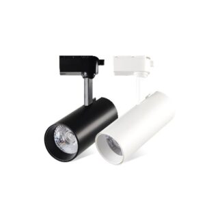 Đèn rọi cao cấp DW-NS0004A 20W