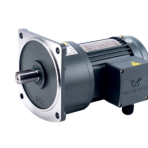 Mô tơ giảm tốc Wanshsin Mặt bích