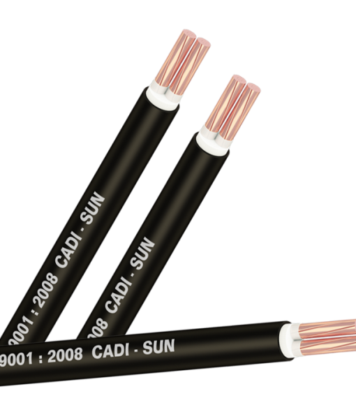 CÁP ĐỒNG CXV 2×10