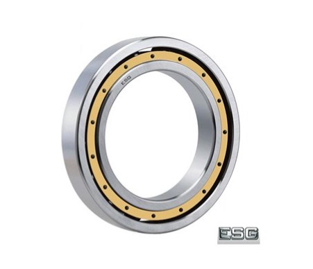 VÒNG BI 23132CAW33C3 - ESG