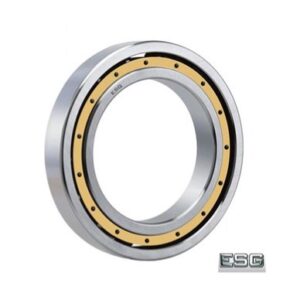 VÒNG BI RFC 4462225 A/P63 - ESG