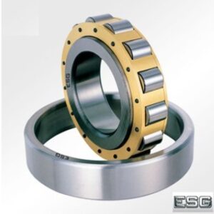 VÒNG BI 306842 - ESG