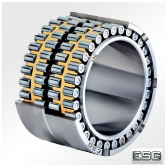 VÒNG BI 305183 - ESG