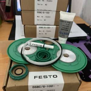 Phớt Xylanh Festo - DSBC/G-100 753093 - Set of wearing parts