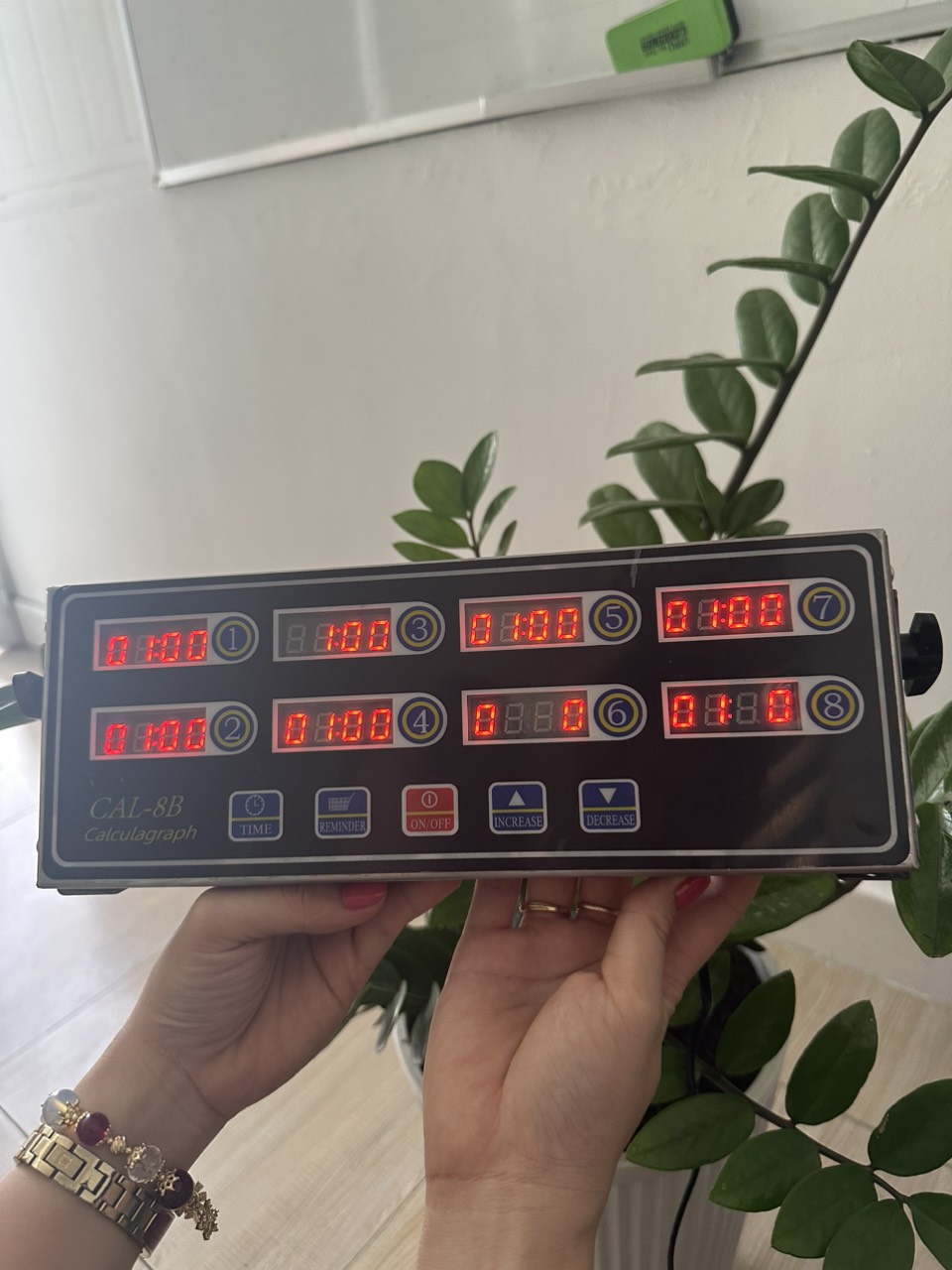 Đồng Hồ Hẹn Giờ 8 Kênh Cal-8b